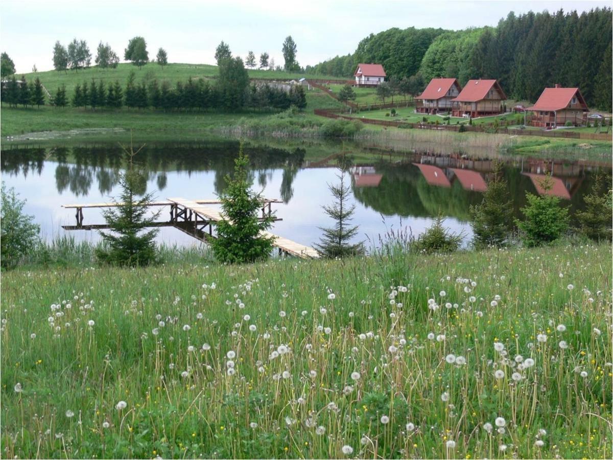 Zlota Lesniczowka Villa Rydzowka ภายนอก รูปภาพ