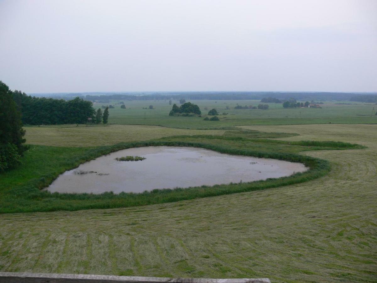 Zlota Lesniczowka Villa Rydzowka ภายนอก รูปภาพ