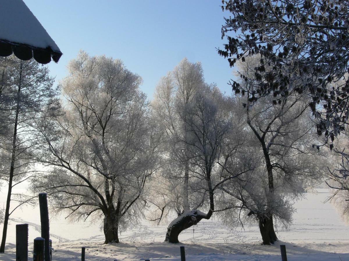 Zlota Lesniczowka Villa Rydzowka ภายนอก รูปภาพ