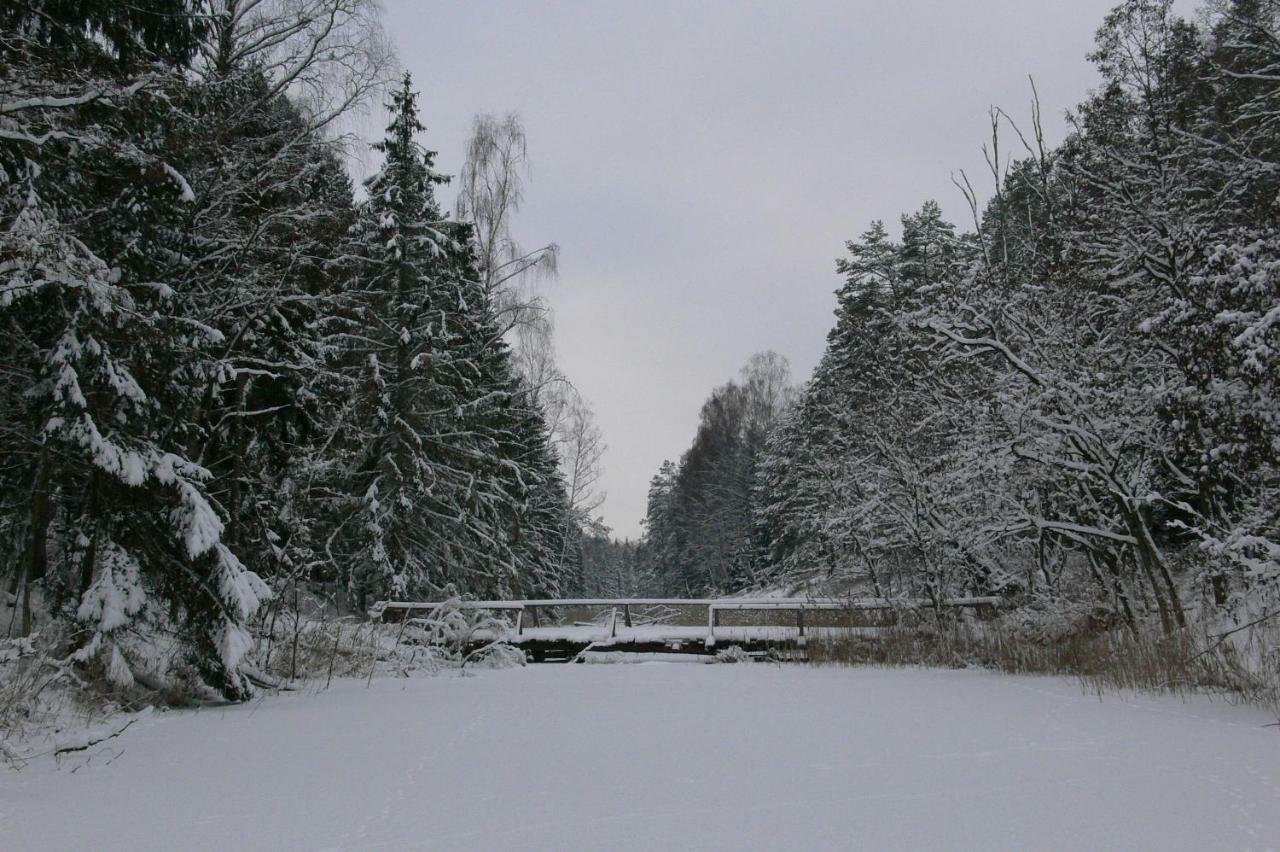 Zlota Lesniczowka Villa Rydzowka ภายนอก รูปภาพ