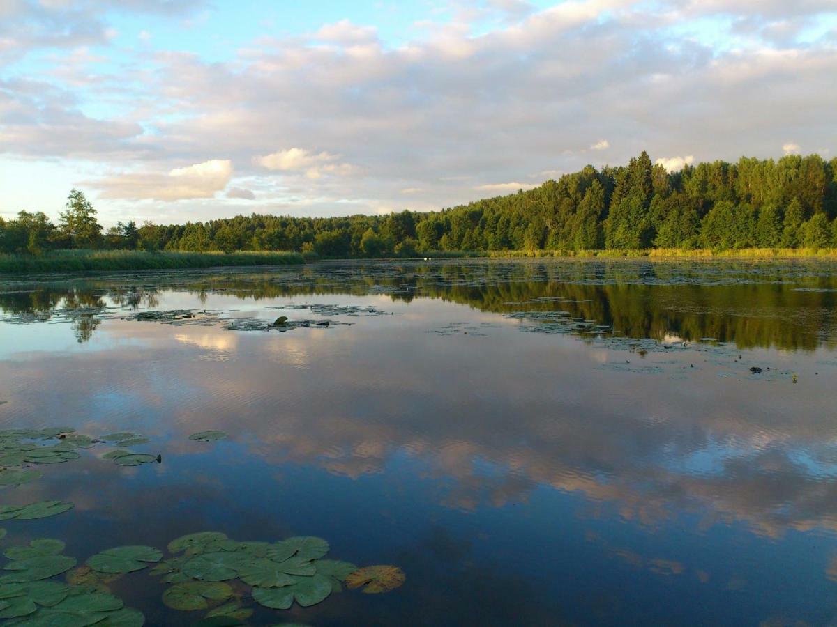 Zlota Lesniczowka Villa Rydzowka ภายนอก รูปภาพ